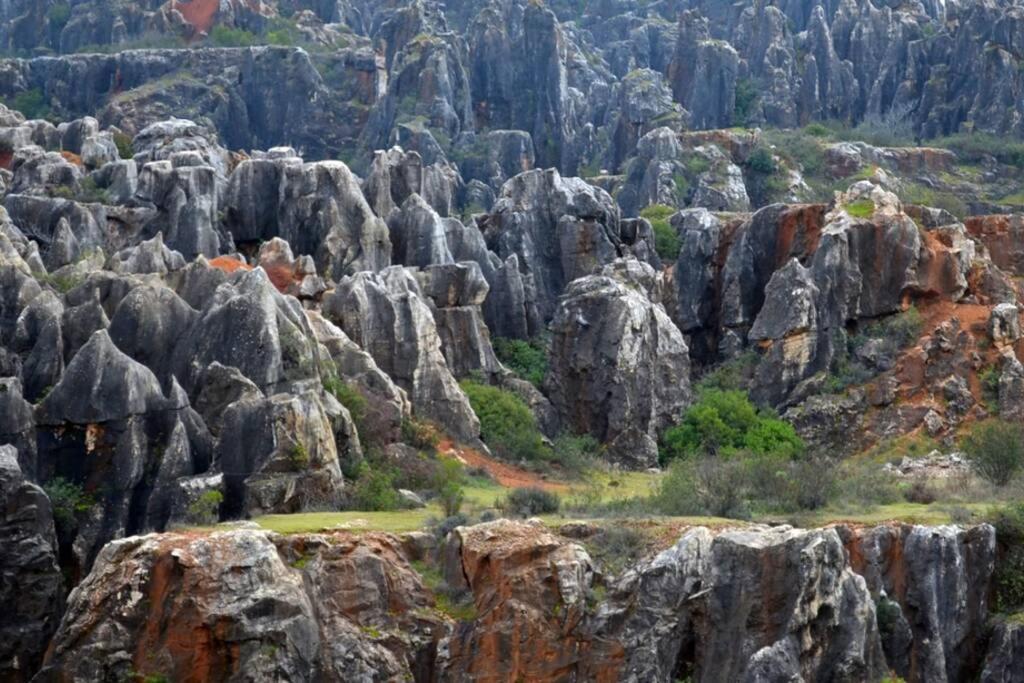Casa Rural La Vega Cazalla de la Sierra Εξωτερικό φωτογραφία